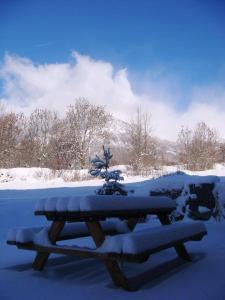Sous la neige