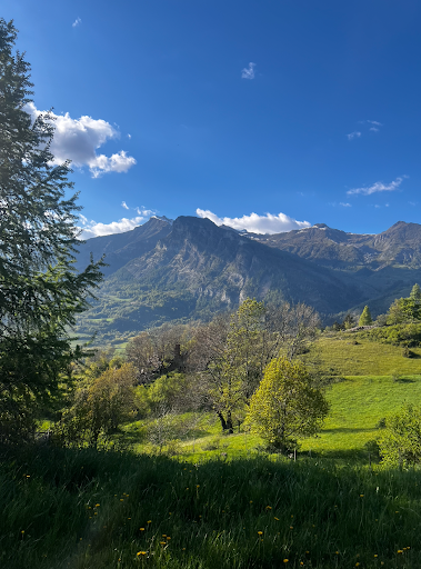 Photo from customer review