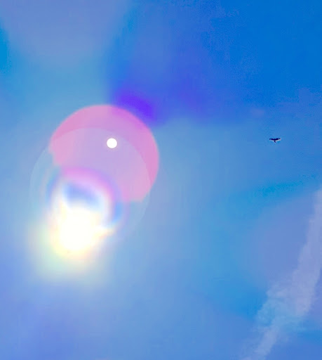 Photo from customer review