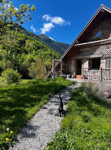 Photo from customer review