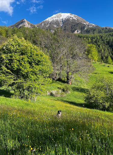 Photo from customer review