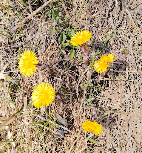 Photo from customer review