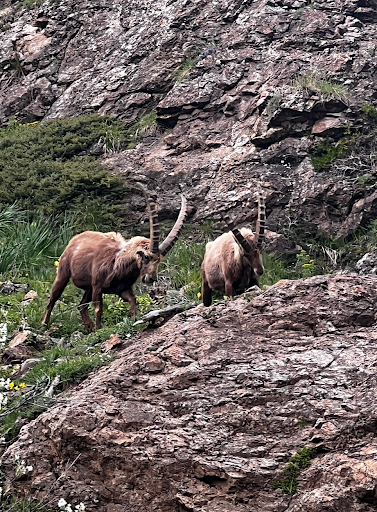 Photo from customer review