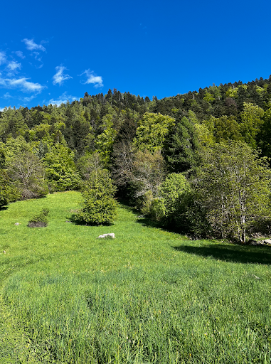 Photo from customer review