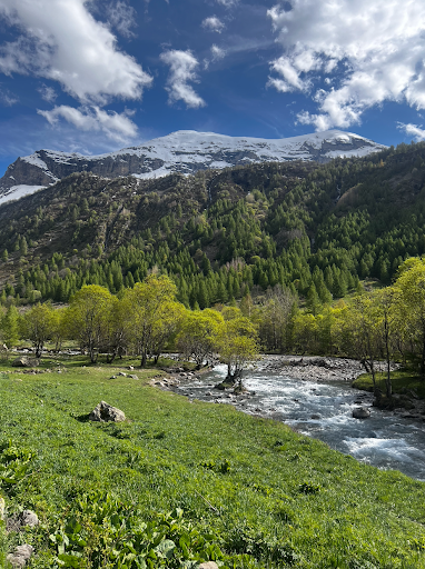 Photo from customer review