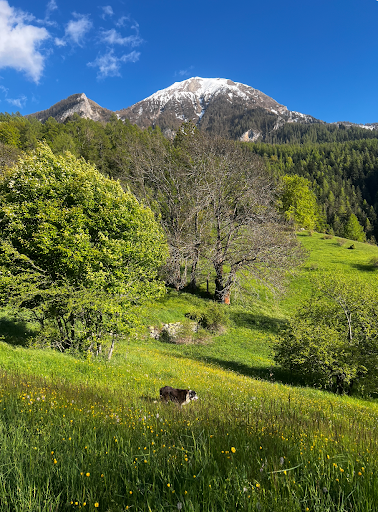 Photo from customer review