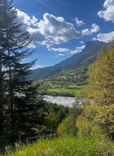 Photo from customer review