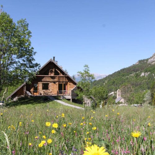 Mille et une fleurs devant le gîte !