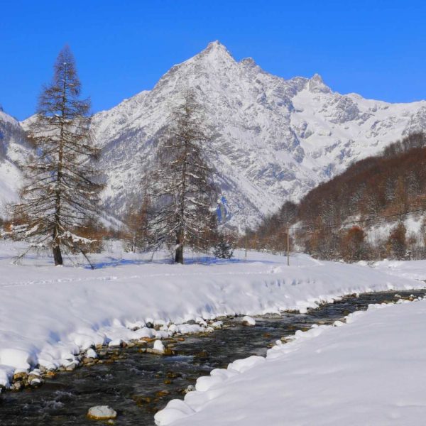 Vallée de Champoléon