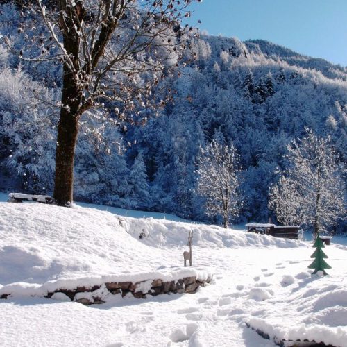 Pas neige terrasse
