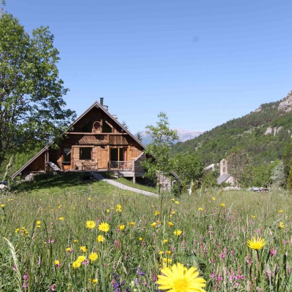 Fleurs à perte de vue au pas de la porte